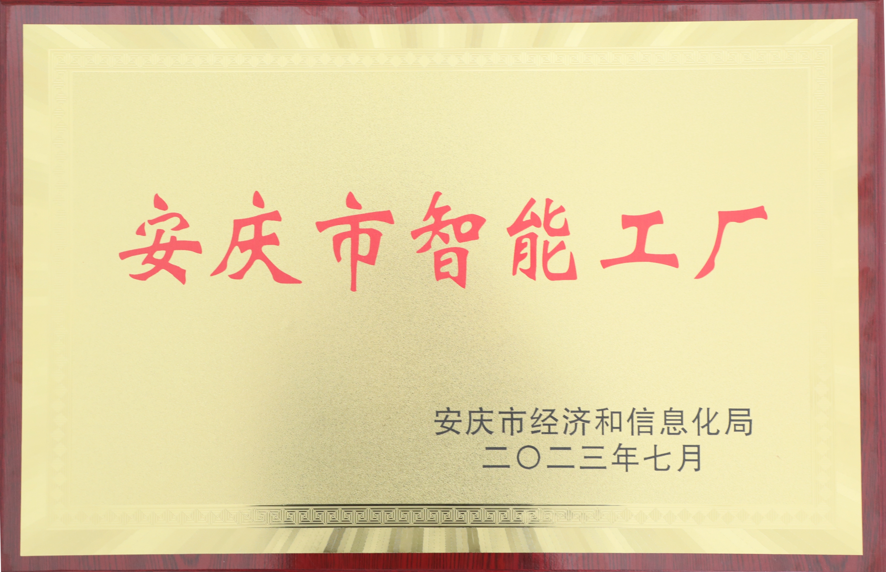 安慶市智能工廠.JPG